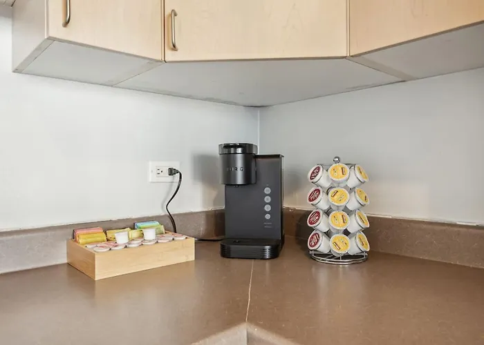 Downtown Views, Mich Ave, Museums 2bd- 2ba #10