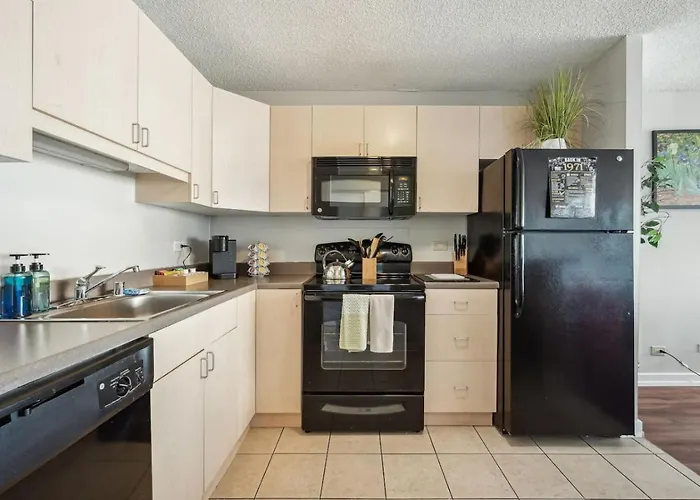 Downtown Views, Mich Ave, Museums 2bd- 2ba #10 Hébergement de vacances *