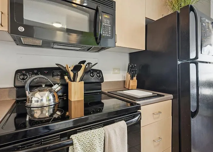 Downtown Views, Mich Ave, Museums 2bd- 2ba #10 Hébergement de vacances *