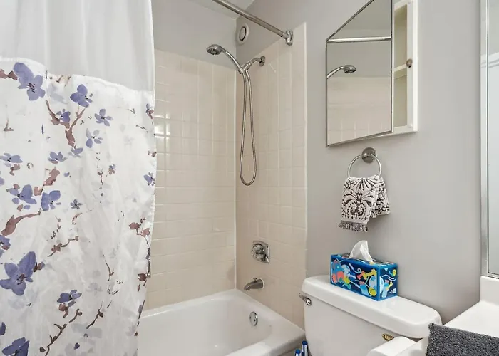 Downtown Views, Mich Ave, Museums 2bd- 2ba #10 *
